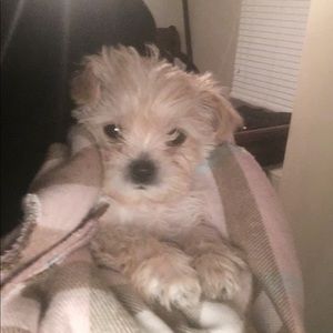 Meet your Posher, Leigh